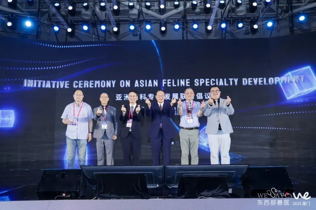 图8.jpg